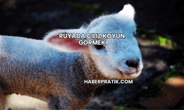 Rüyada Cılız Koyun Görmek