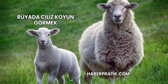 Rüyada Cılız Koyun Görmek