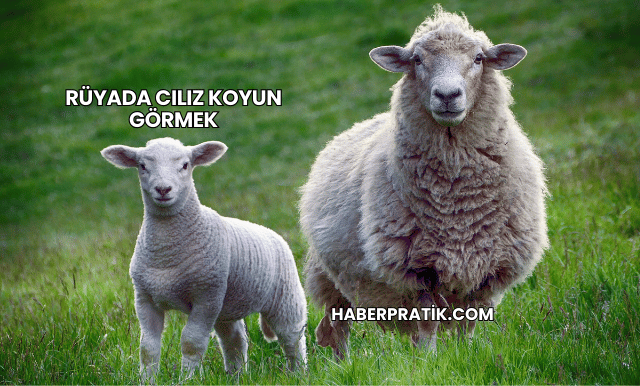 Rüyada Cılız Koyun Görmek