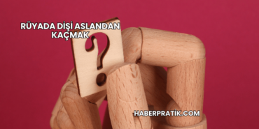 Rüyada Dişi Aslandan Kaçmak