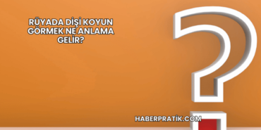 Rüyada Dişi Koyun Görmek Ne Anlama Gelir?