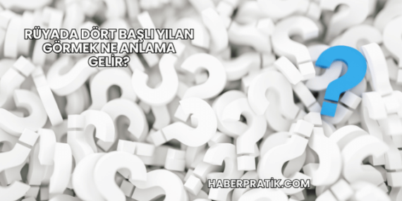 Rüyada Dört Başlı Yılan Görmek Ne Anlama Gelir?