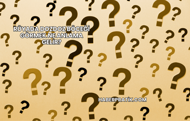 Rüyada Dozdoz Böceği Görmek Ne Anlama Gelir?