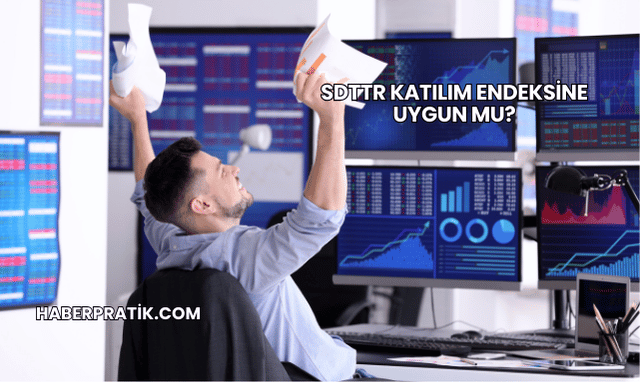 SDTTR Katılım Endeksine Uygun mu?