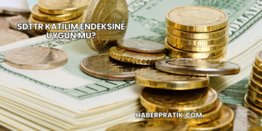 SDTTR Katılım Endeksine Uygun mu?