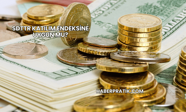SDTTR Katılım Endeksine Uygun mu?