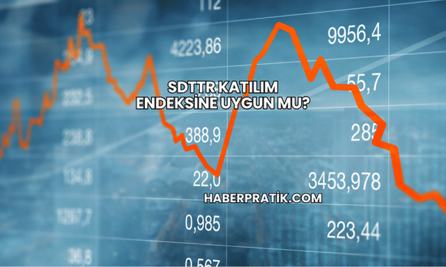 SDTTR Katılım Endeksine Uygun mu?