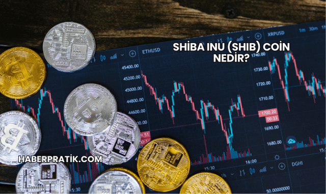 Shiba Inu (SHIB) Coin Nedir?