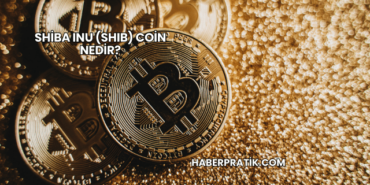 Shiba Inu (SHIB) Coin Nedir?