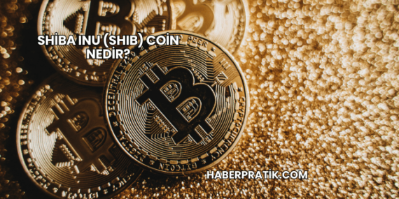 Shiba Inu (SHIB) Coin Nedir?