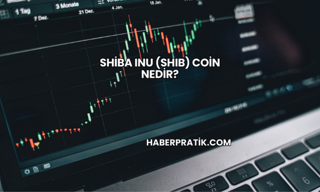 Shiba Inu (SHIB) Coin Nedir?