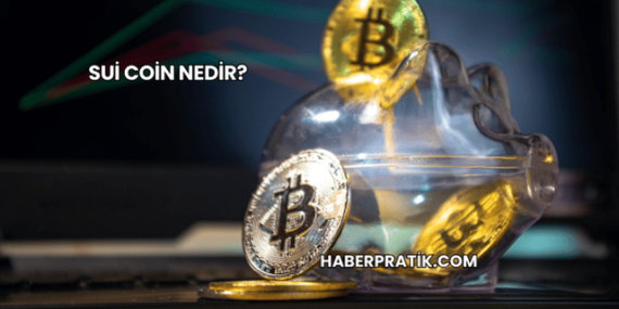 Sui Coin Nedir?