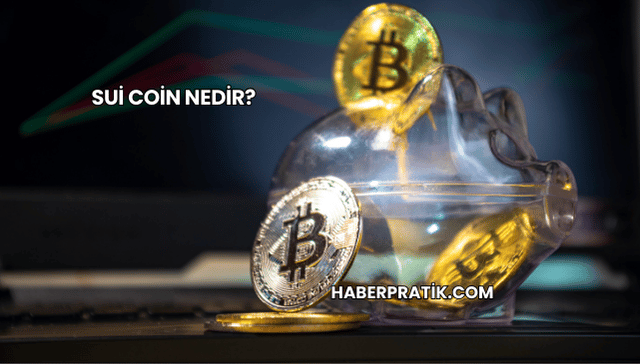 Sui Coin Nedir?