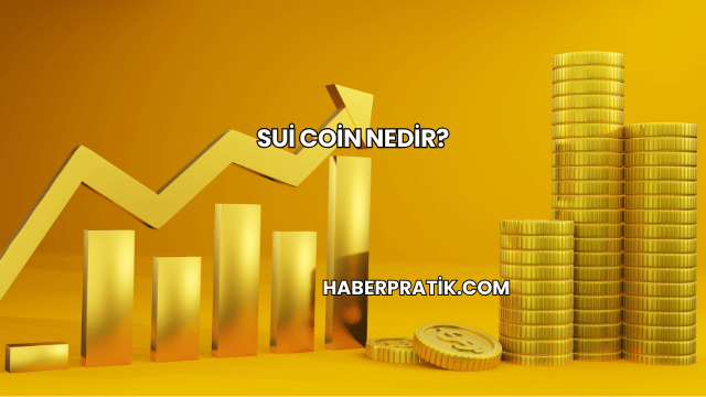 Sui Coin Nedir?