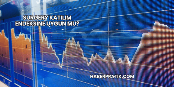 Surgery Katılım Endeksine Uygun mu?