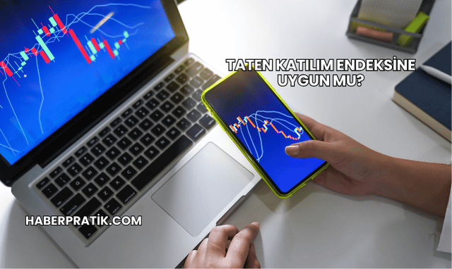 Taten Katılım Endeksine Uygun mu?
