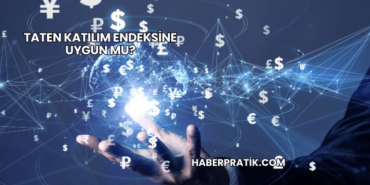 Taten Katılım Endeksine Uygun mu?