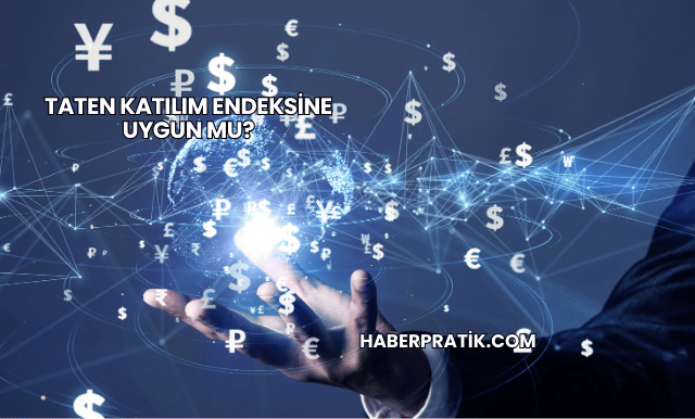Taten Katılım Endeksine Uygun mu?