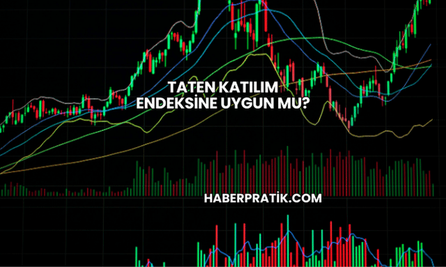 Taten Katılım Endeksine Uygun mu?