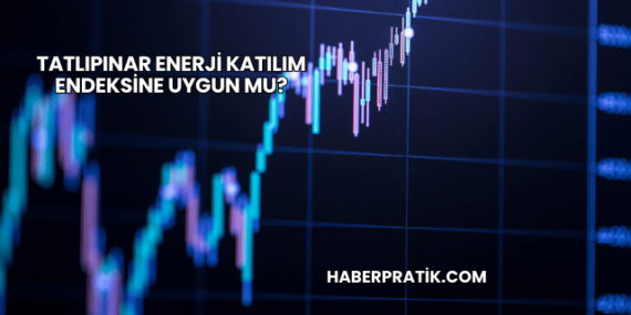 Tatlıpınar Enerji Katılım Endeksine Uygun mu?