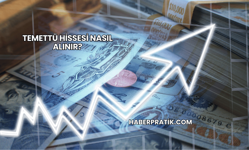 Temettü Hissesi Nasıl Alınır?