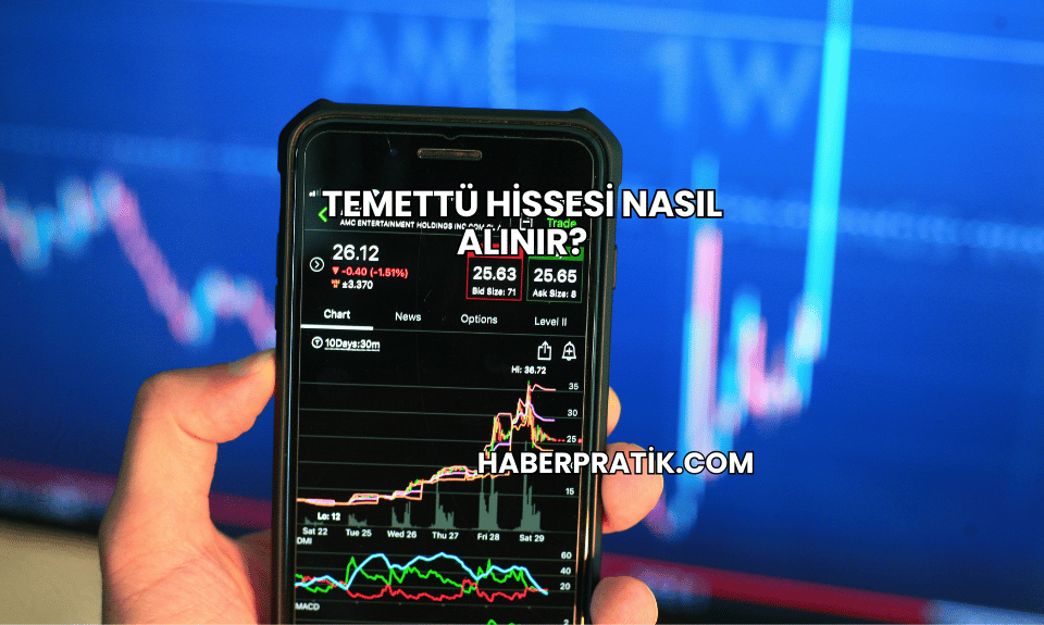 Temettü Hissesi Nasıl Alınır?