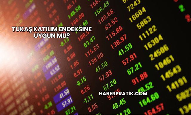 Tukaş Katılım Endeksine Uygun mu?