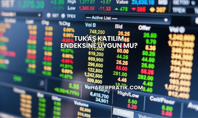 Tukaş Katılım Endeksine Uygun mu?