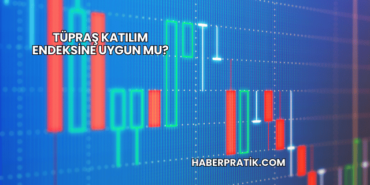 Tüpraş Katılım Endeksine Uygun mu?