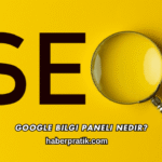 Google Bilgi Paneli Nedir?